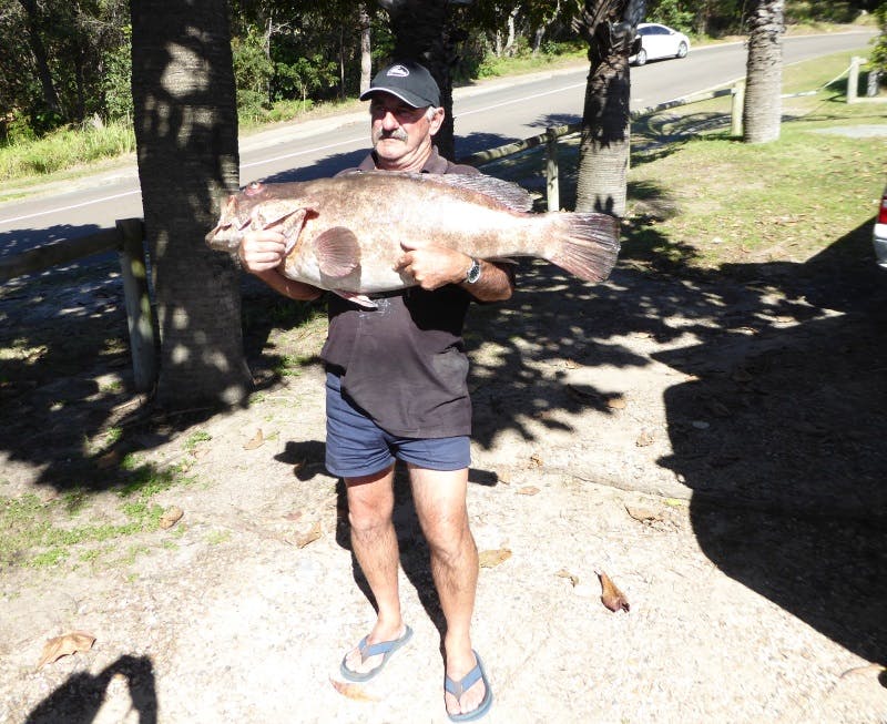 Fishing - Image by Elaine and John Ashworth from Berri