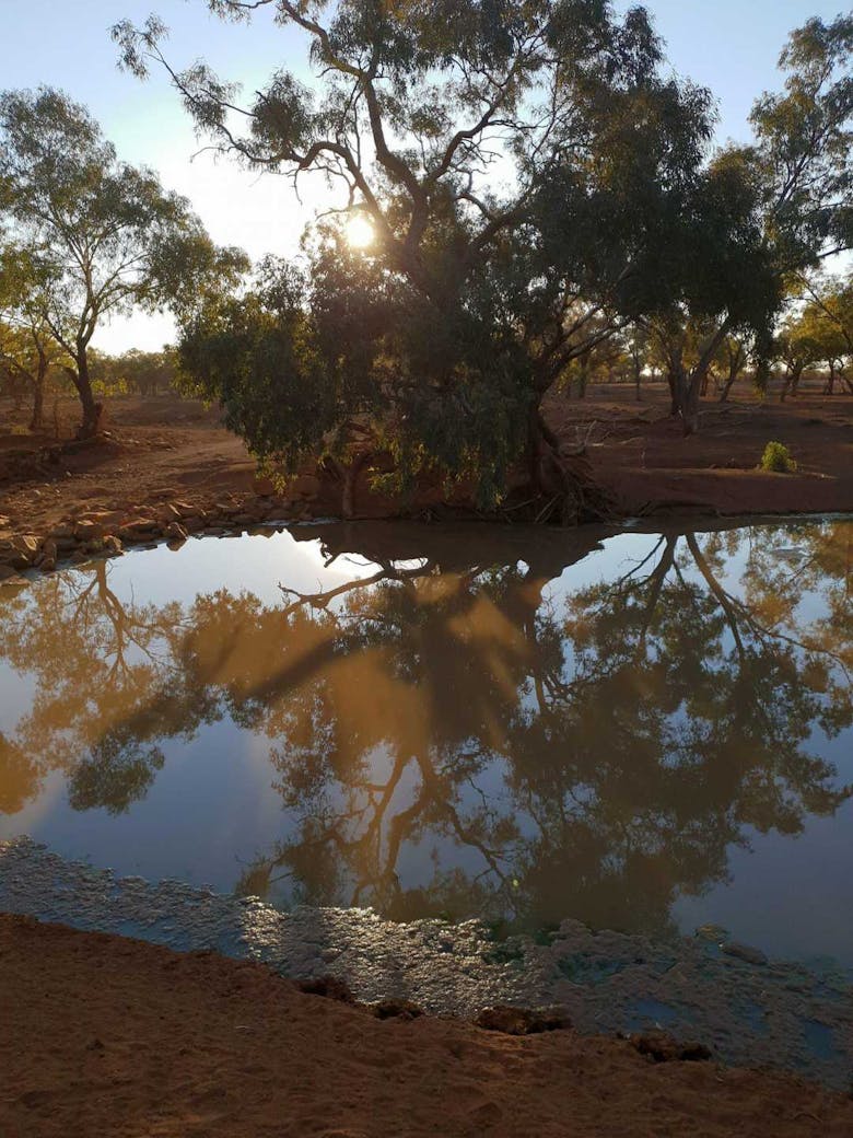 Alroy Station QLD - Creek
