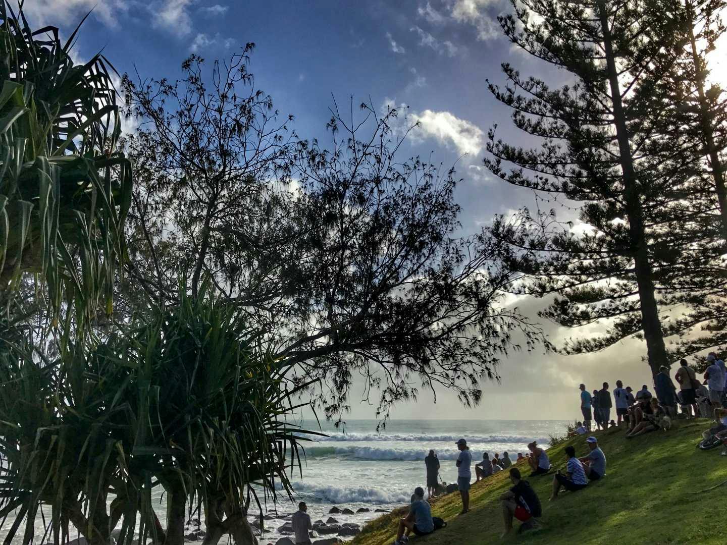 Camps Australia Wide - Burleigh Heads