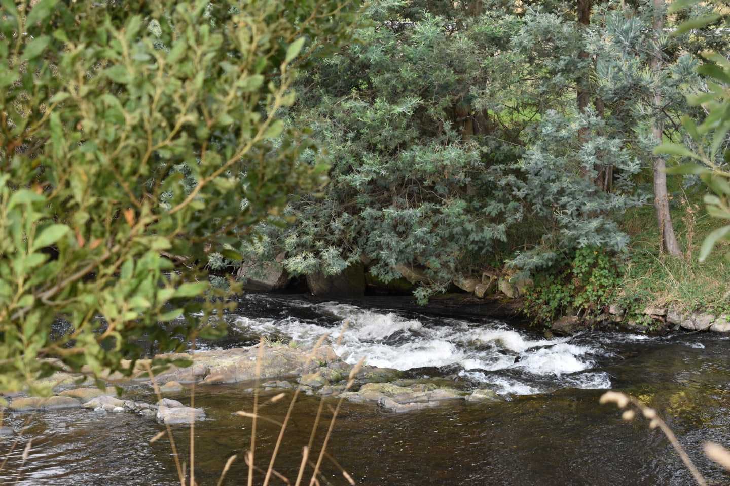 Branxholm River Walk