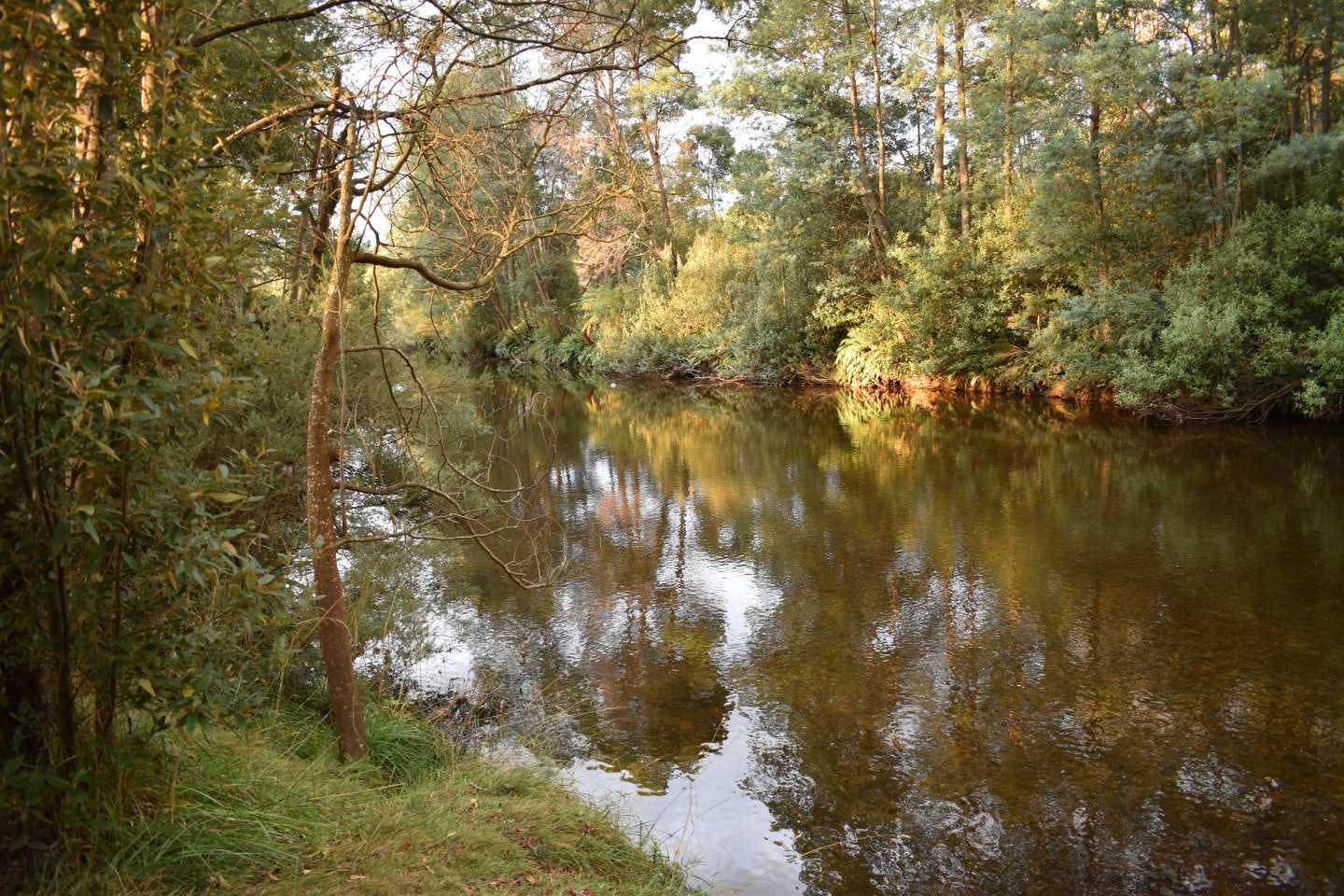 Branxholm River Walk