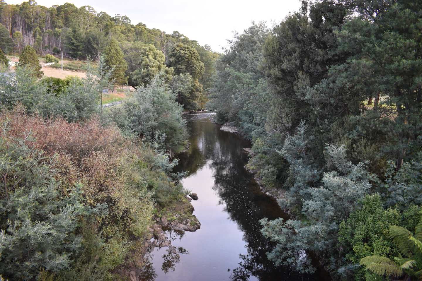 Branxholm - River from Bridge