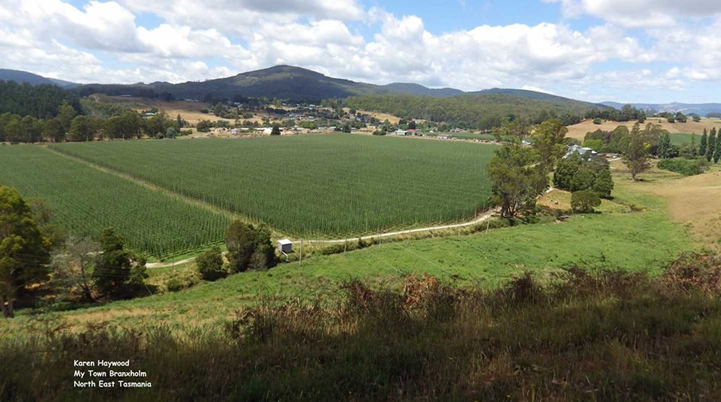 Branxholm Township