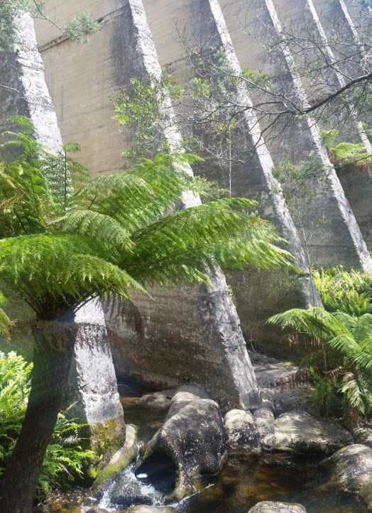 The ruins of the Mt Paris Dam