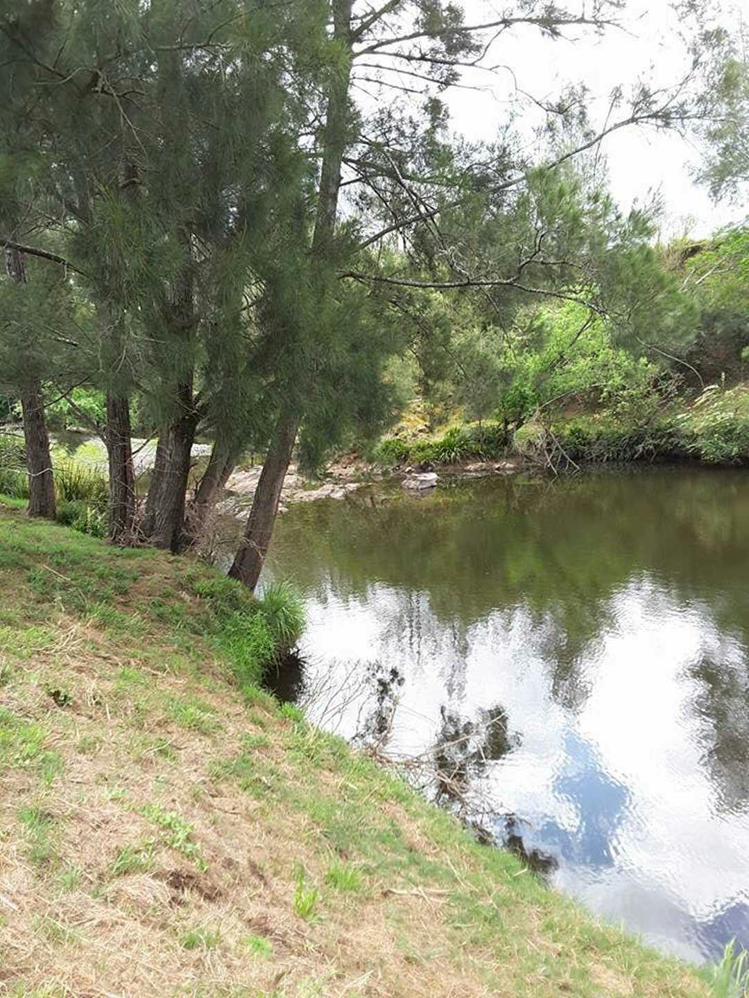 Dungog Shire - Creek