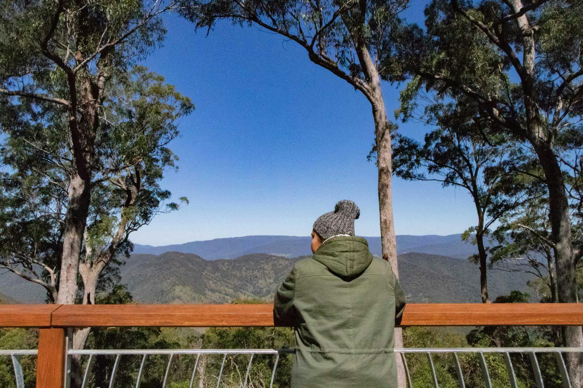 Barrington Tops State Forest Lookout