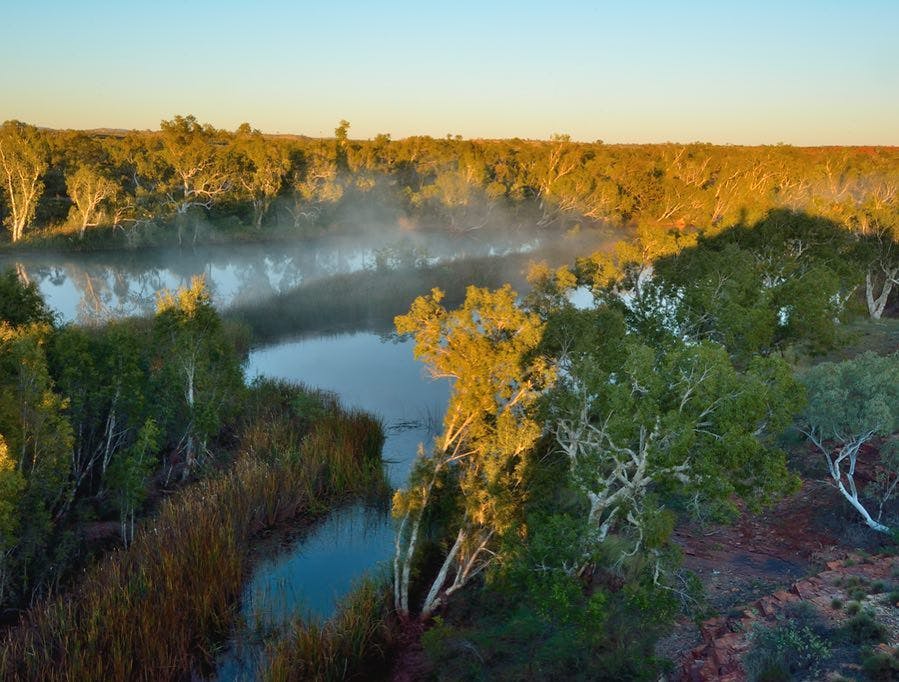 Mist rises over Palm Pool in Millstream Chichester National Park 📸Peter Nicholas/DBCA via @waparkswildlife on Instagram