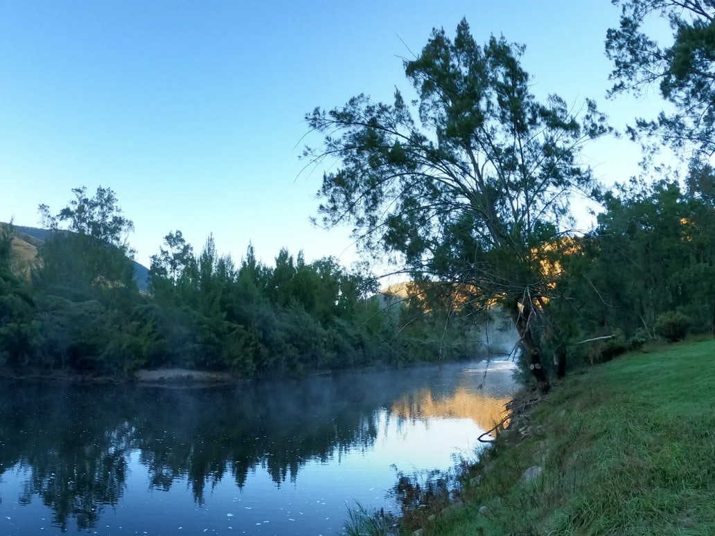 Timbarra Valley Camping