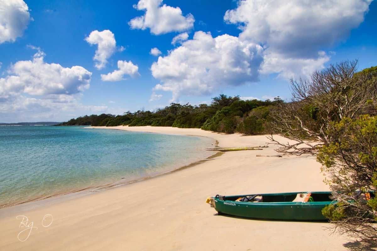 Cockle Creek by Ormond Williams