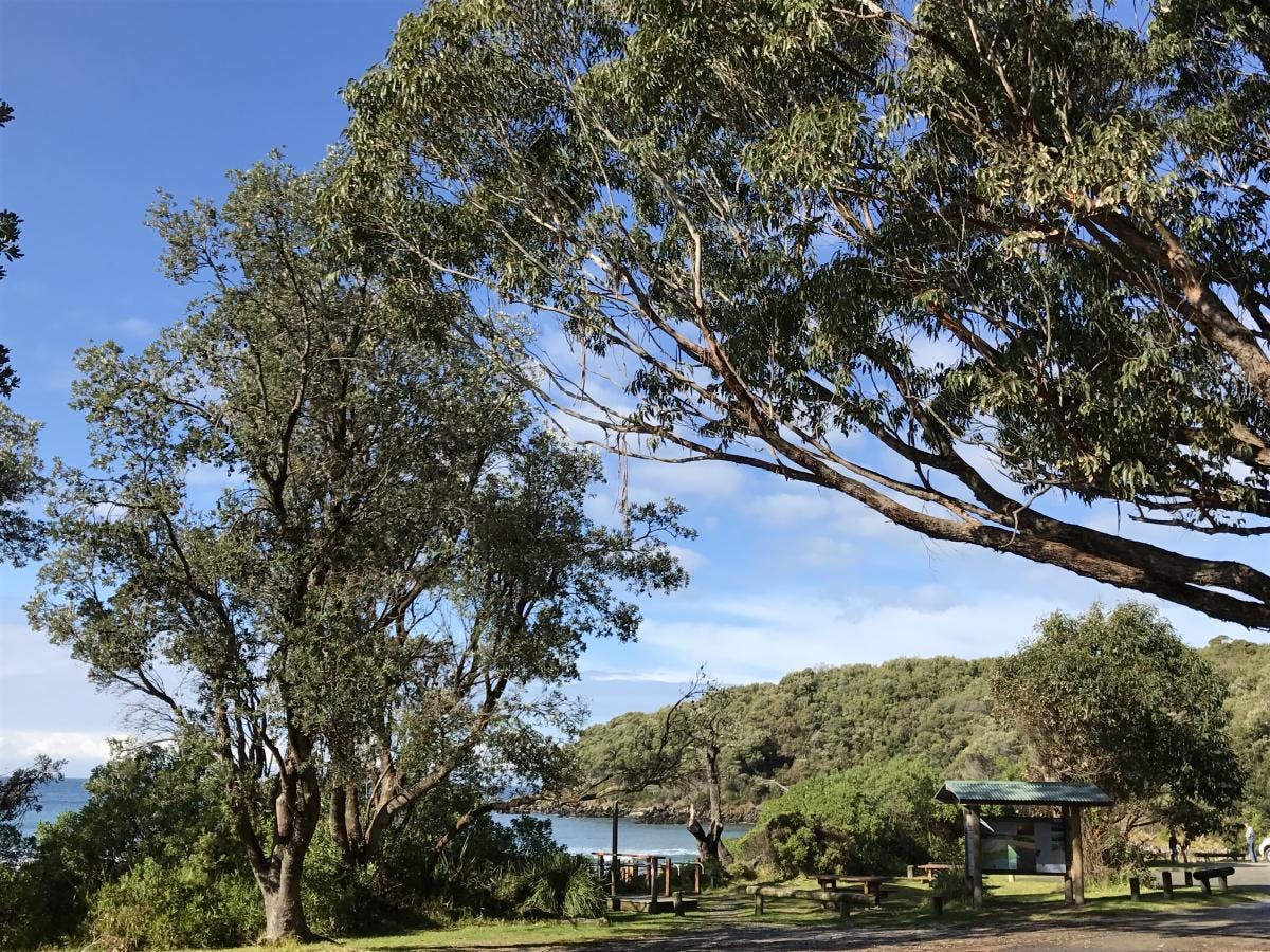 Banksia Bluff Campground, Cape Conran Coastal Park VIC