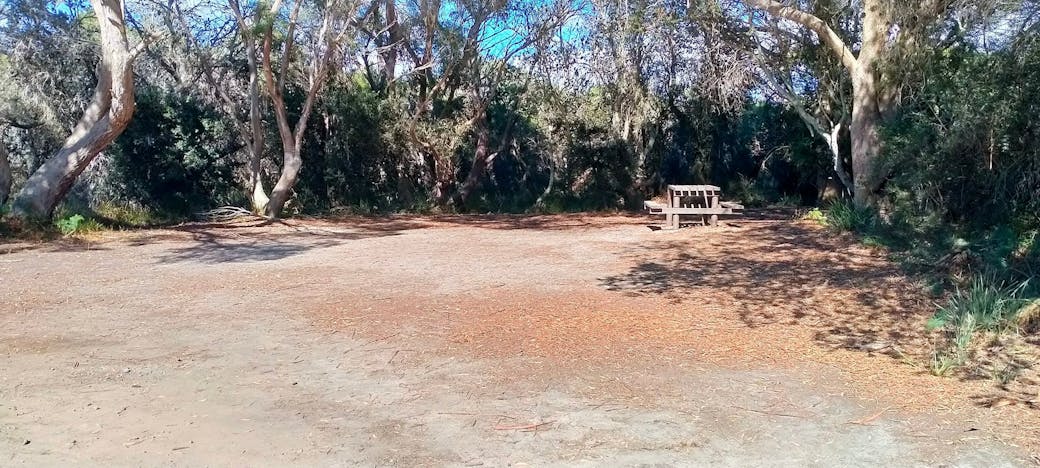Stumpys 3 campsite TAS
