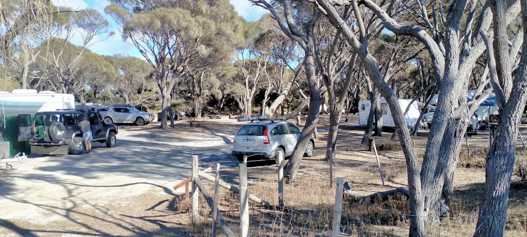 Stumpys Camp 1, Tasmania