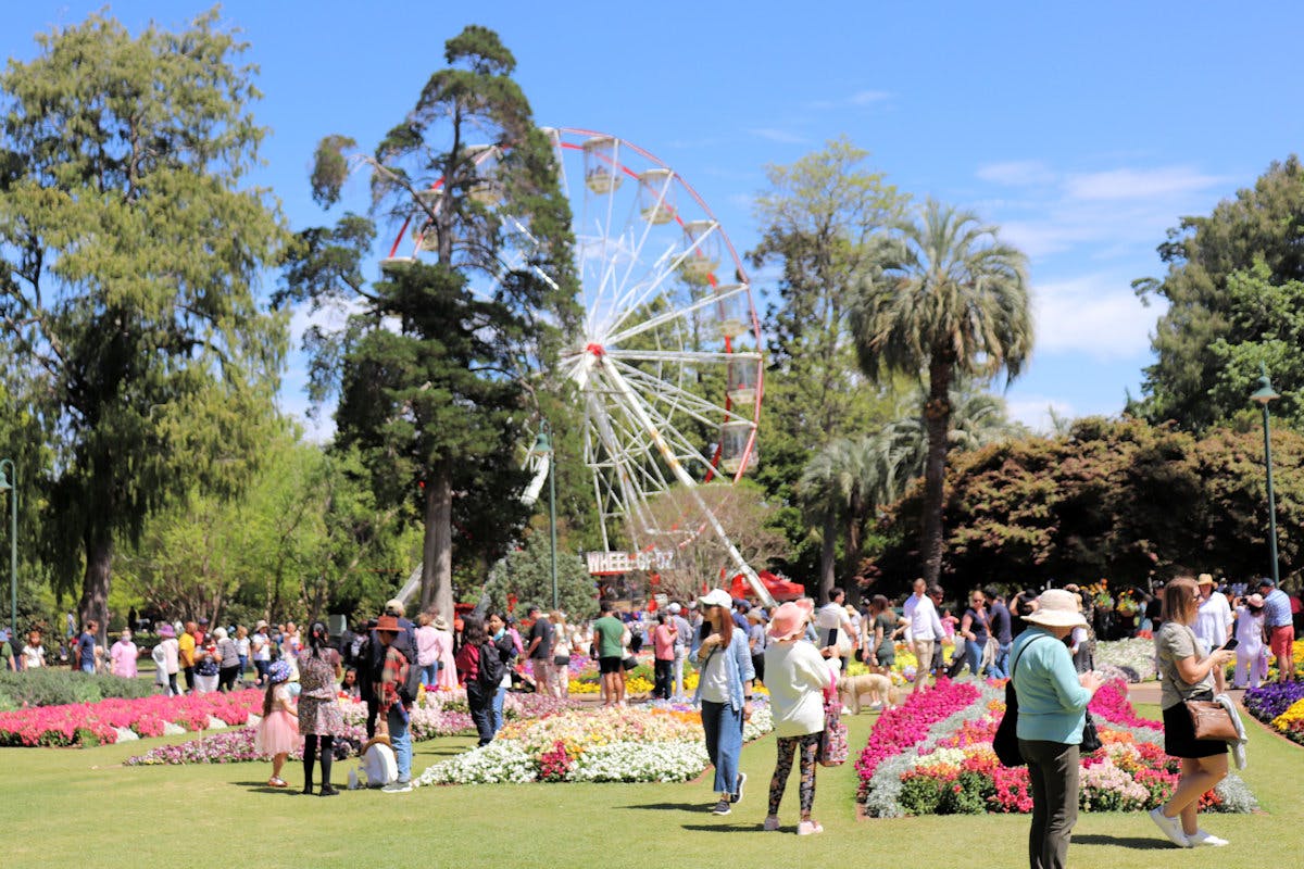 3 Amazing Flower Festivals for Spring - Camps Australia Wide